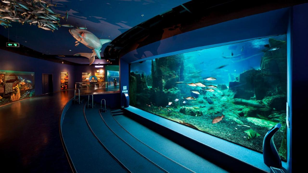 Crowne Plaza Florya Istanbul By Ihg Ξενοδοχείο Εξωτερικό φωτογραφία The 1.3 million gallon open ocean exhibit